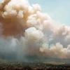 Health Effects of Smoke Exposure due to Wildland Fires